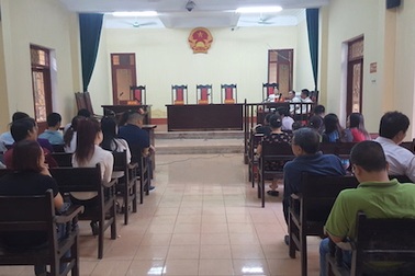 Thái Nguyên: Tài xế bị khởi tố liên tục kêu oan, HĐXX tuyên hoãn phiên toà