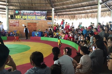 Du xuân ngắm cảnh miệt vườn, xem trò đua heo ngày mùng 2 Tết