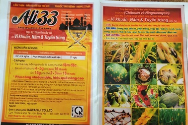 Xác định được thủ phạm gây ra hiện tượng vàng lá, héo đọt trên cây cúc