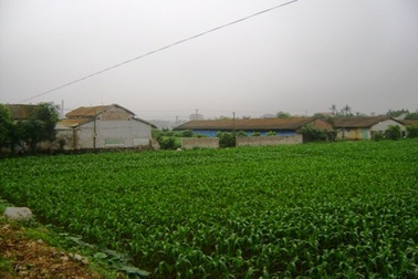 Hà Nam: Cám cảnh người dân khốn đốn mang người chết đi chôn "nhờ"