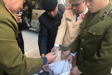 Bắt xe ô tô vận chuyển 215 kg nghi vẩy tê tê