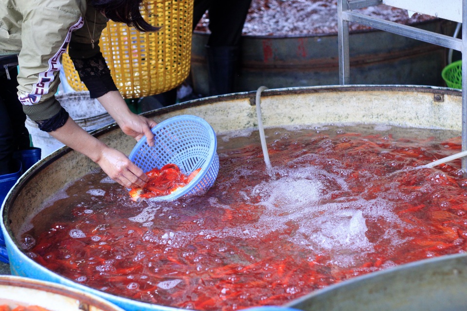 Hà Nội: Nhộn nhịp chợ phương tiện tiễn Táo quân về trời - 3 Hà Nội: Nhộn nhịp chợ phương tiện tiễn Táo quân về trời - 3