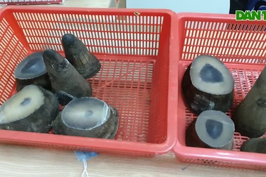 Lực lượng chức năng kiểm đếm tang vật