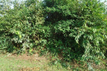 Siêu trộm “hé lộ” công nghệ chế 26 loại vam mở mọi ổ khóa