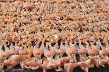 Cận Tết, giá “vũ nữ chân dài” tăng "chóng mặt" vẫn hút hàng