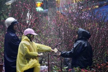 Bắc Bộ sắp đón không khí lạnh kèm mưa