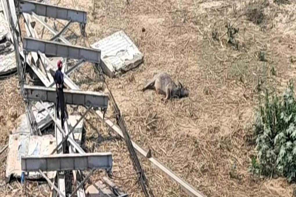 Công an vào cuộc vụ sập cầu treo ở Nghệ An - 2