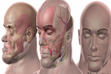 Lần đầu tiên trên thế giới thực hiện ghép mặt lại lần 2