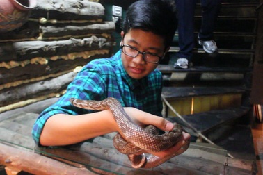 Sốt dịch vụ trông thuê “rồng, rắn” dịp Tết Ất Mùi