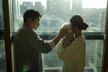 Thay vì sinh con, nhiều vợ chồng trẻ Hàn Quốc nuôi thú cưng