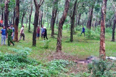 Phát hiện thi thể cháy đen trong lô cao su