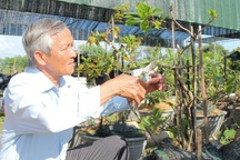 Cựu chiến binh góp vốn lập HTX để giúp đỡ hội viên thoát nghèo