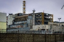 Nấm ăn bức xạ được tìm thấy trong lò phản ứng hạt nhân Chernobyl