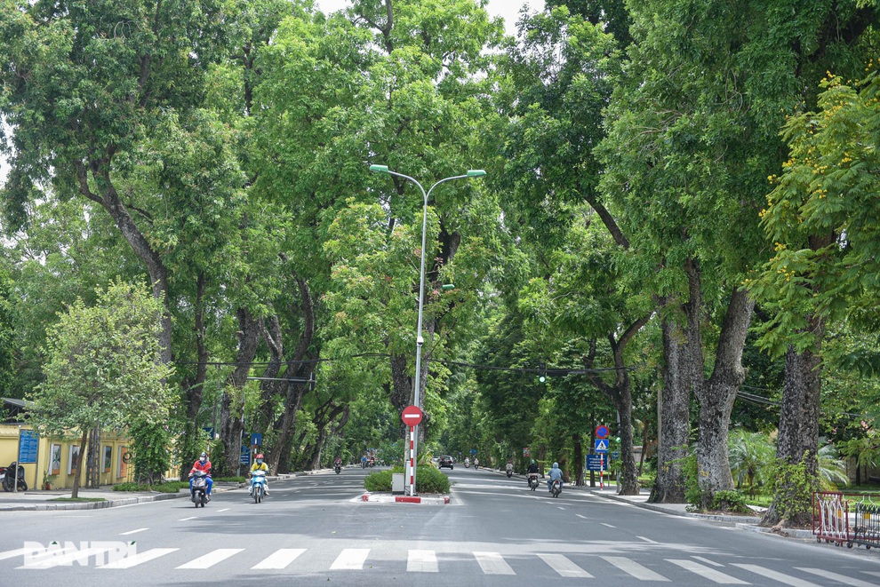 Những con đường giúp giải nhiệt giữa ngày nắng nóng ở Hà Nội - 1 Những con đường giúp giải nhiệt giữa ngày nắng nóng ở Hà Nội - 1