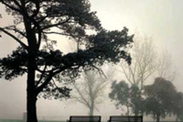 Vài mùa đông lẻ...