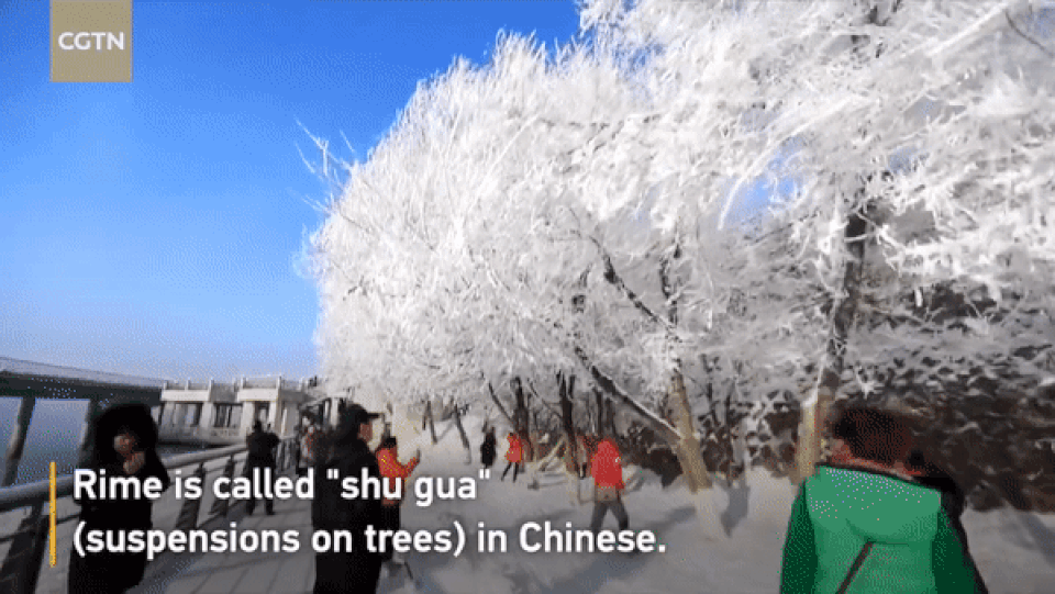 Kinh ngạc trước công viên quốc gia như “tiên giới” - 3 Kinh ngạc trước công viên quốc gia như “tiên giới” - 3