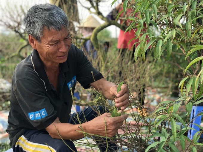 Khách đặt gần hết quất cảnh chơi Tết trước 2 tháng, chủ vườn nói bày ra phố cho vui - Ảnh 6.