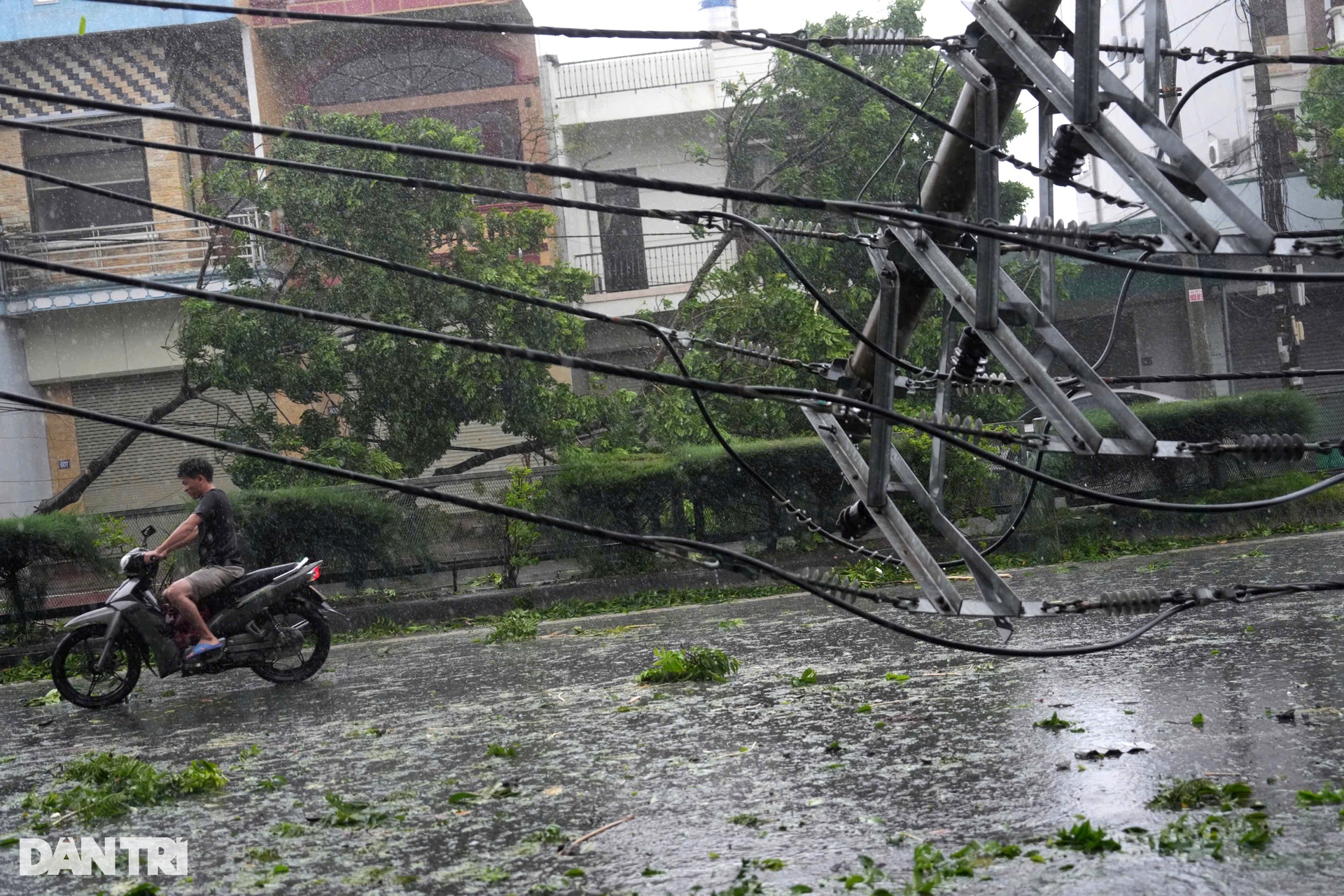 Bão Yagi đổ bộ Quảng Ninh: Đường phố ngổn ngang, hàng loạt cột điện gãy đổ - 6