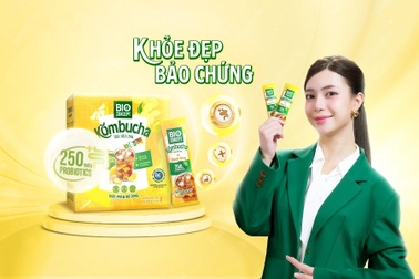 Bio Concept Kombucha - Kombucha mới với chất lượng và khác biệt từ nghiên cứu quốc tế
