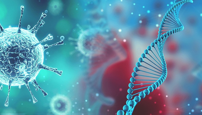 Nhà khoa học Trung Quốc: Tìm thấy virus Corona chủng mới đột biến bất thường khi lây truyền giữa các thành viên trong một gia đình - Ảnh 2. Nhà khoa học Trung Quốc: Tìm thấy virus Corona chủng mới đột biến bất thường khi lây truyền giữa các thành viên trong một gia đình - Ảnh 2.