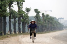 Hàng hoa sữa chuyển từ Hà Nội lên bãi rác Nam Sơn giờ ra sao?