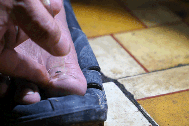 Đội săn... muỗi ở TPHCM