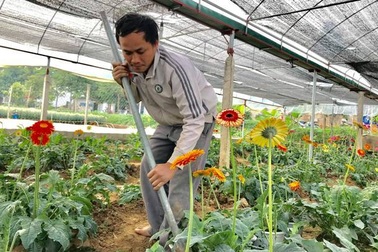 Vườn hoa tiền tỷ của chàng công nhân gác tàu xứ Thanh