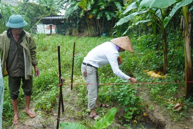 Hố sụt sâu hơn 3m xuất hiện trong vườn nhà dân sau trận mưa lớn