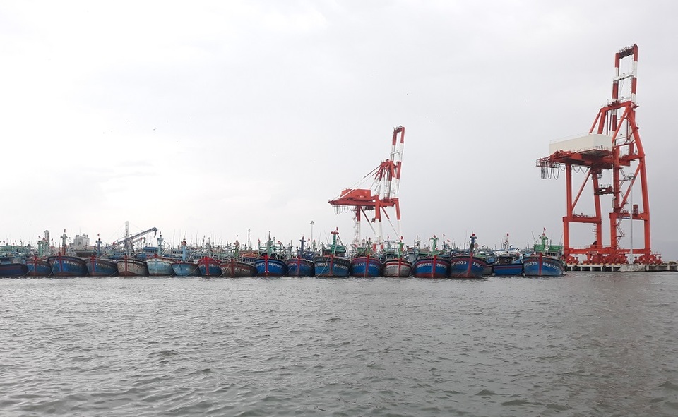 Bình Định lo an toàn cho tàu thuyền, ngư dân trước bão số 10 - 2 Bình Định lo an toàn cho tàu thuyền, ngư dân trước bão số 10 - 2