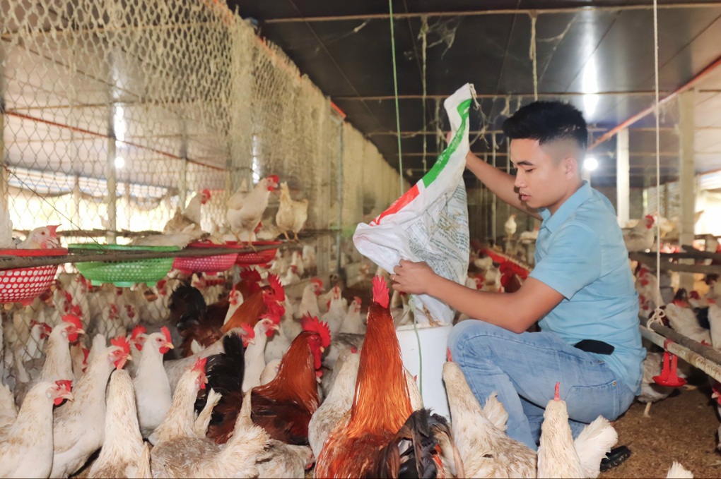 Hành trình từ tay trắng đến chủ trang trại tiền tỷ của chàng trai trẻ - 3 Hành trình từ tay trắng đến chủ trang trại tiền tỷ của chàng trai trẻ - 3