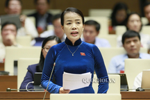 "Bối rối" với môn Lịch sử: Đại biểu Quốc hội nói gì?