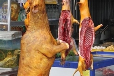 Đi hội chùa Hương, nhìn người, thấy cảnh mà xa xót!