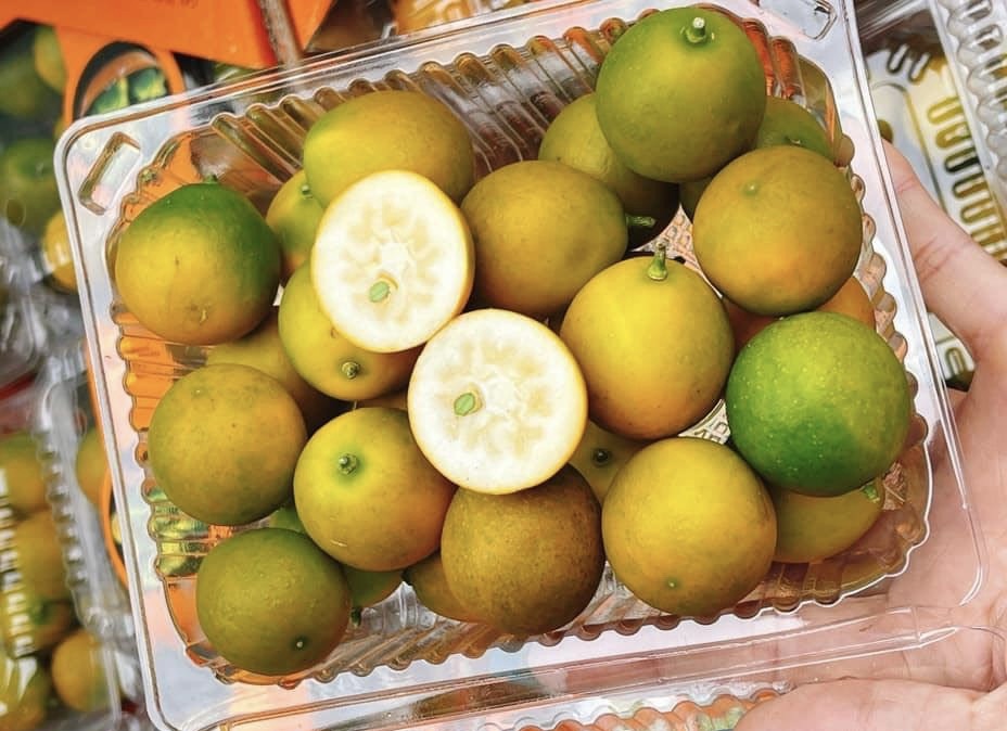 Dừa đột biến lá vàng, cao chưa tới 30 cm gây bão chợ mạng - 2