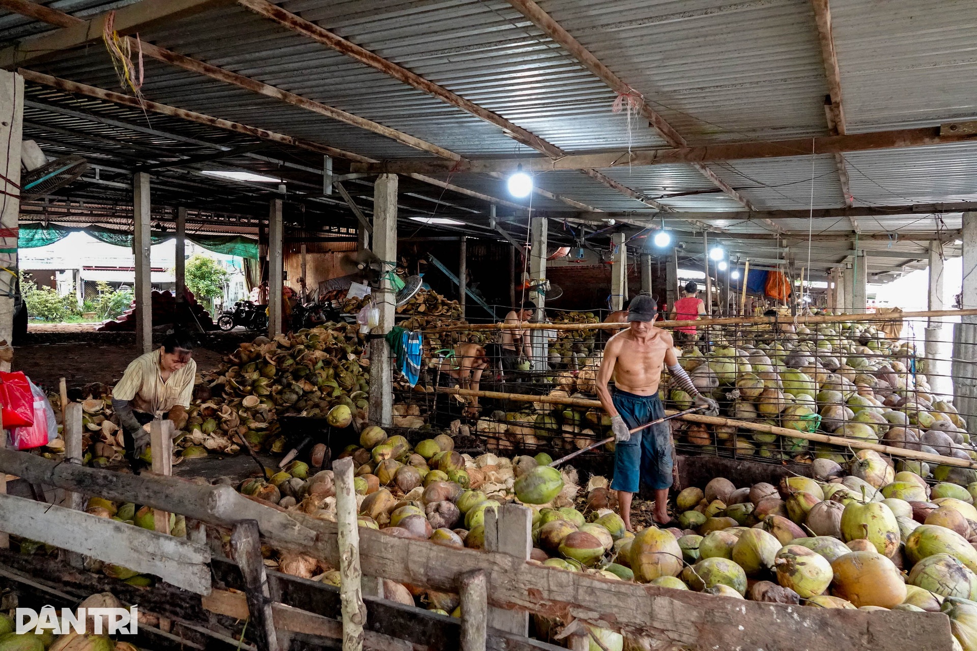 Người phụ nữ lột dừa tươi nhanh như máy, kiếm nửa triệu đồng mỗi ngày - 3