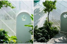 Vợ chồng Việt làm nhà xuyên thấu lạ mắt, ai đi qua cũng ngắm nhìn