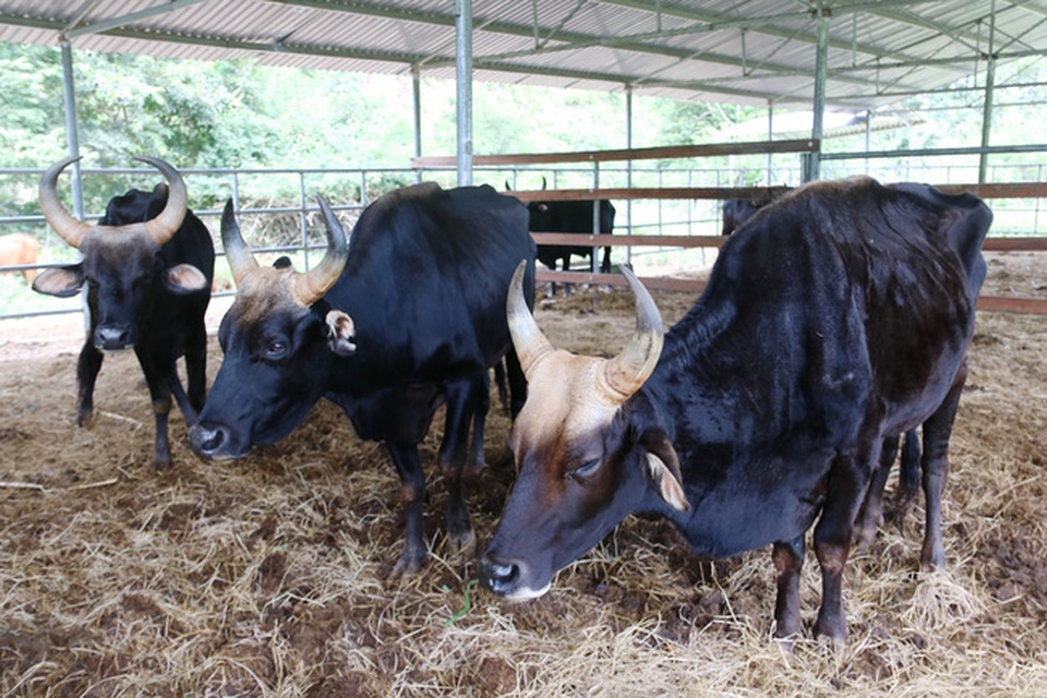 Nghiên cứu khoa học: 14% chi phí là họp hành, 25% hoa hồng - 1 Nghiên cứu khoa học: 14% chi phí là họp hành, 25% hoa hồng - 1