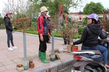 Diễn biến thời tiết trên cả nước dịp Tết Đinh Dậu 2017