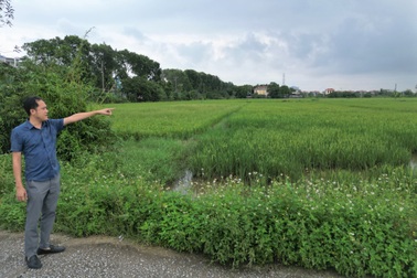 Cưỡng chế kiểm đếm đất bắt buộc để xây khu đô thị vùng đệm di sản Tràng An