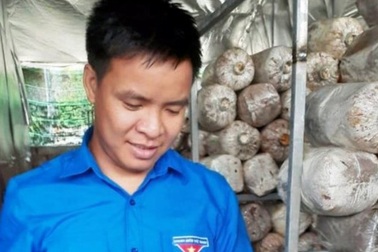Nghệ An: Mô hình trồng nấm mang lại hiệu quả kinh tế của chàng kỹ sư trẻ