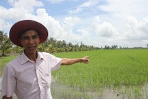 Lão nông người Khmer trở thành tỷ phú nhờ cây lúa