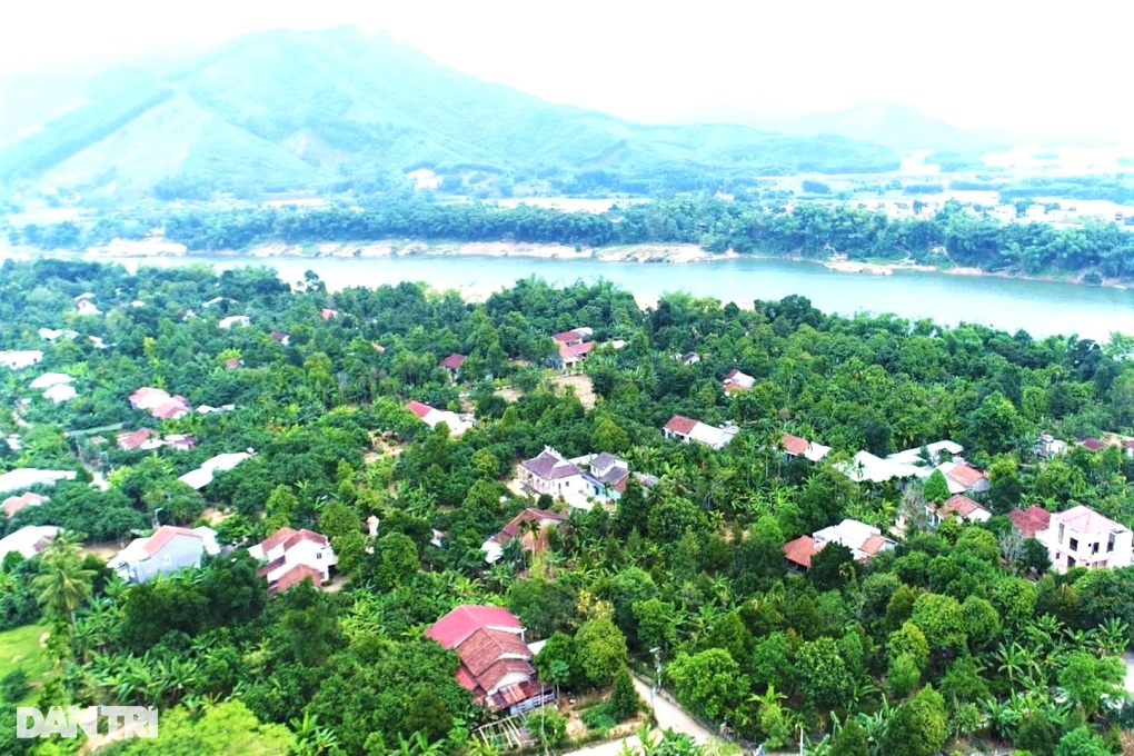 Khám phá hoa quả sơn độc đáo ở Quảng Nam - 1 Khám phá hoa quả sơn độc đáo ở Quảng Nam - 1
