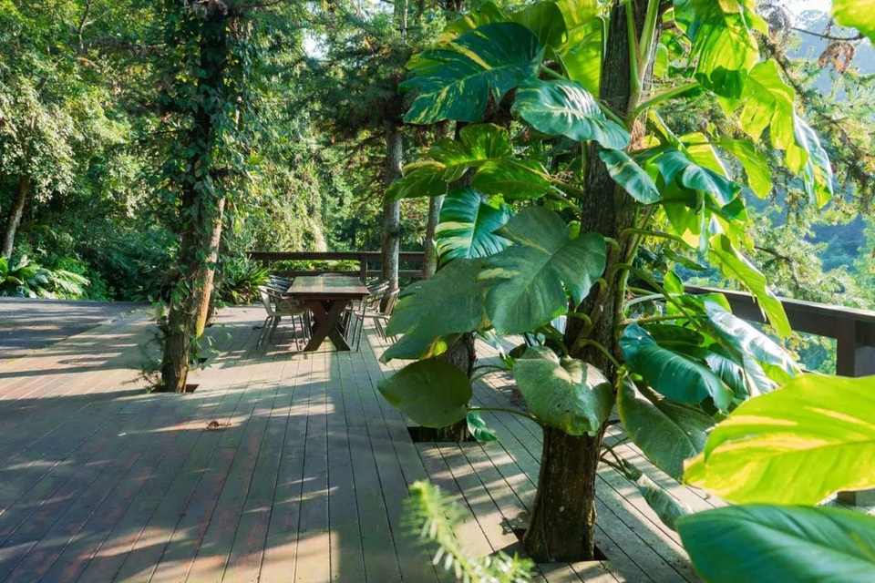 Người đàn ông mua quả đồi 12 nghìn m2 làm nhà để bảo vệ thiên nhiên - 7 Người đàn ông mua quả đồi 12 nghìn m2 làm nhà để bảo vệ thiên nhiên - 7