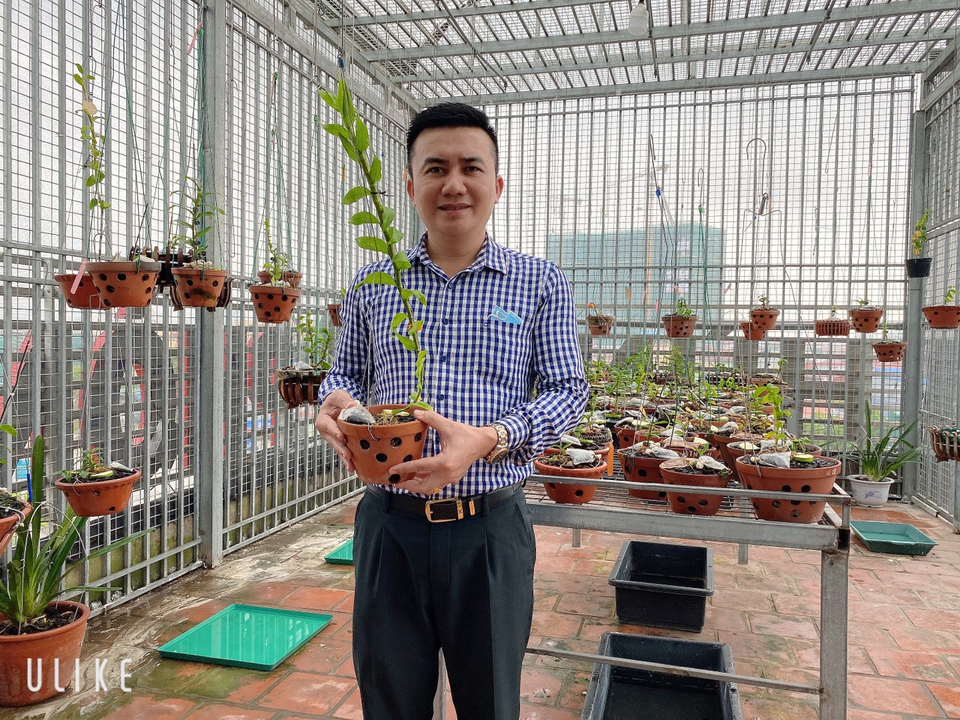 Nghệ nhân hoa lan Phạm Hữu Hùng hướng dẫn các biện pháp xử lý khi hoa lan bị nấm hạt cải - 1 Nghệ nhân hoa lan Phạm Hữu Hùng hướng dẫn các biện pháp xử lý khi hoa lan bị nấm hạt cải - 1