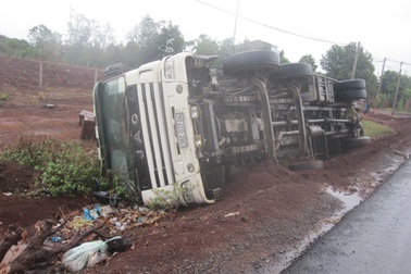 Lật xe, hàng vạn con ong nháo nhác bay kín đường