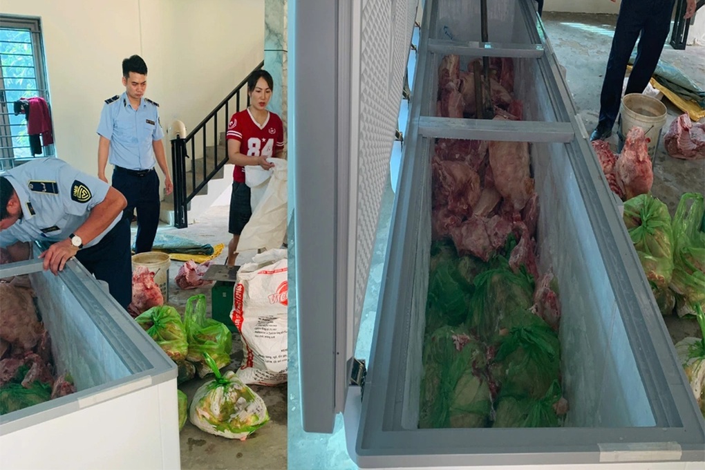 Mua hơn 1,6 tấn lợn dịch tả châu Phi về giết mổ bán ra thị trường - 1