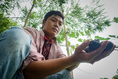 Ném cả lượng vàng xuống ao, ban đầu bị chê, sau ai cũng mê tít