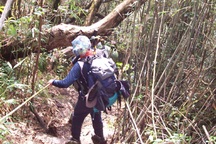 Một du khách mất tích khi leo núi Phan Si Păng  