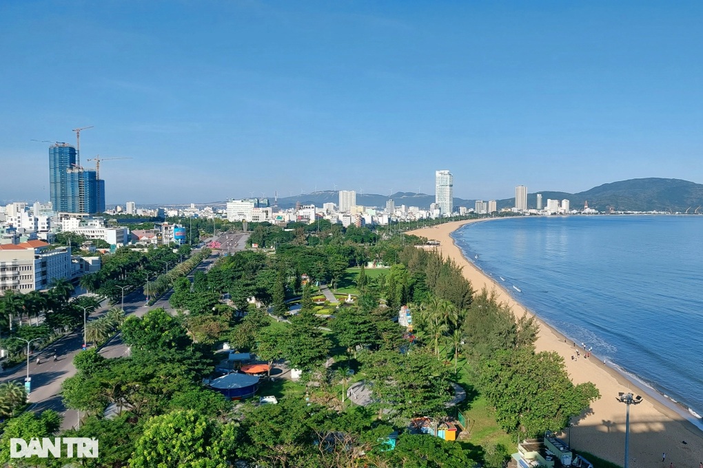 Đầu tư hơn 900 tỷ đồng trồng cây xanh ở Bình Định - 1 Đầu tư hơn 900 tỷ đồng trồng cây xanh ở Bình Định - 1