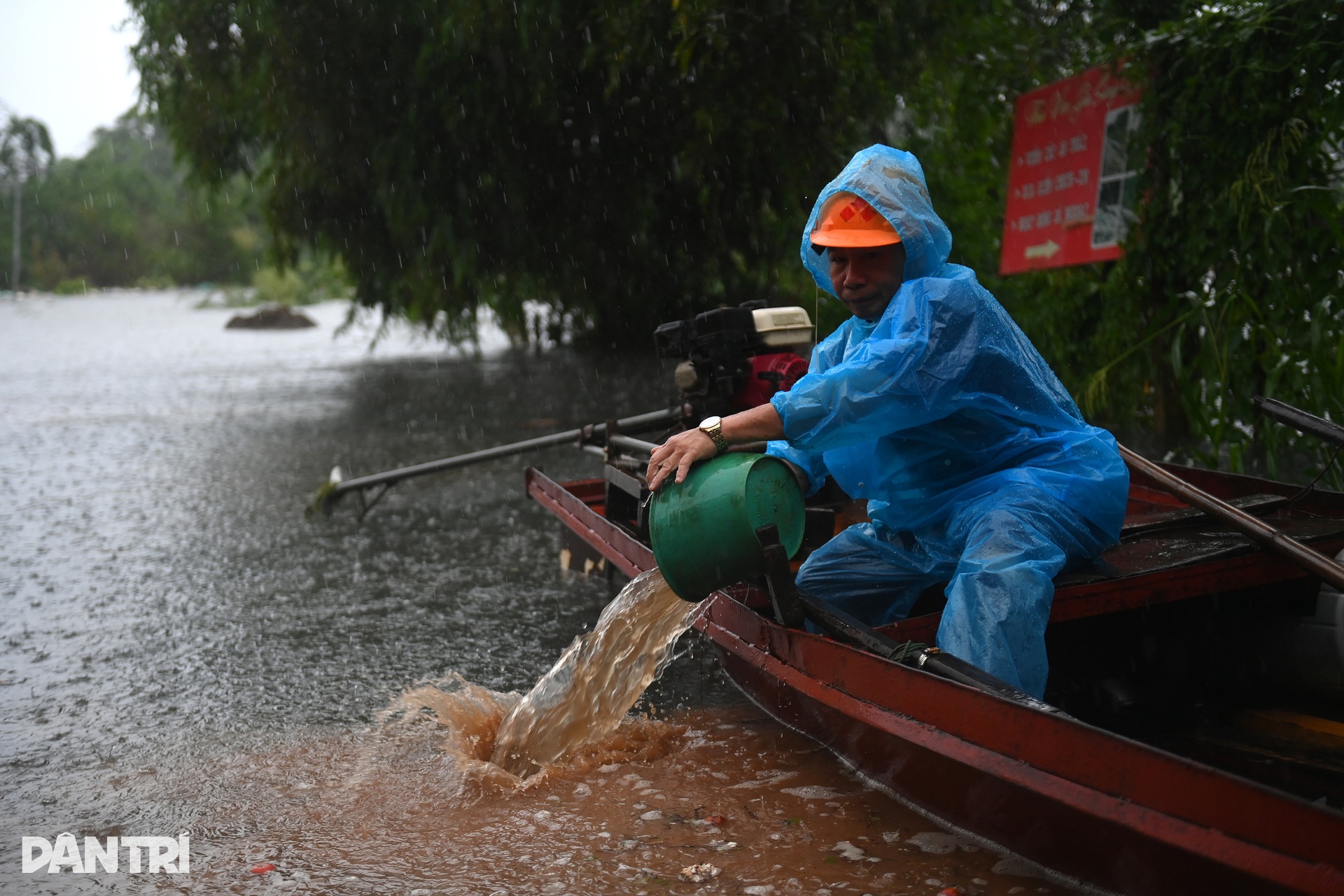 Nước sông Hồng lên cao, cô lập bãi giữa, ngập trắng hoa màu - 7