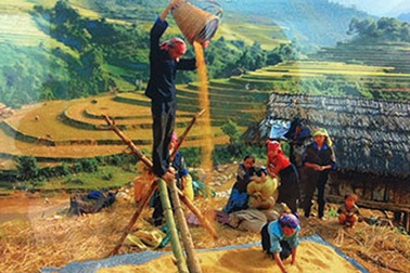 Chiêm ngưỡng vẻ đẹp Việt Nam qua ảnh báo chí